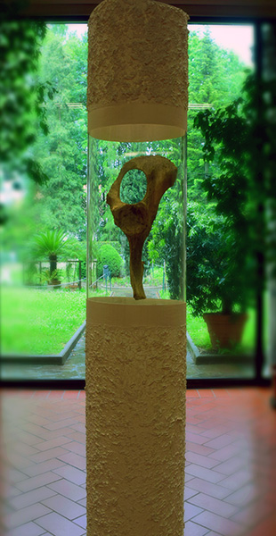 L’installazione di Andrea Benetti intitolata "Coxale", esposta per la prima volta all’Università di Ferrara